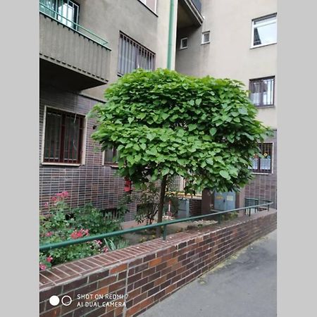 A Cosy Studio In The City Centre Bratislava Exterior foto